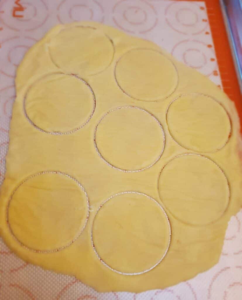 Keto Potsticker Cut Circles