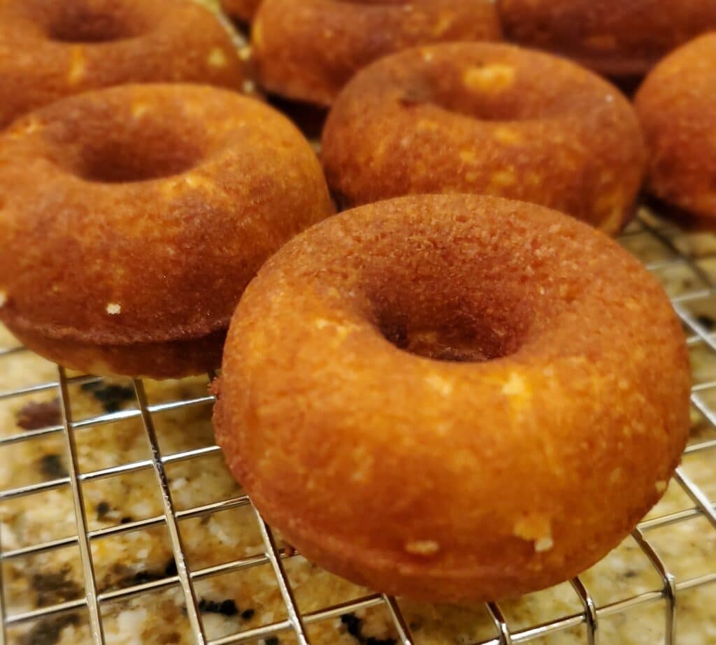 Plain Donuts