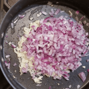 chicken garlic and onions
